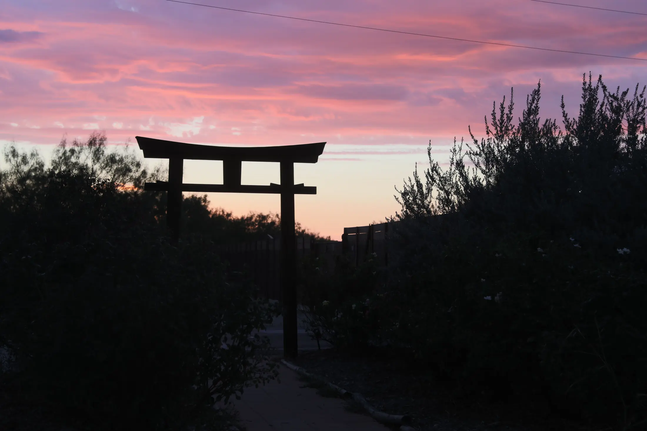 Sacred Grove campus grounds